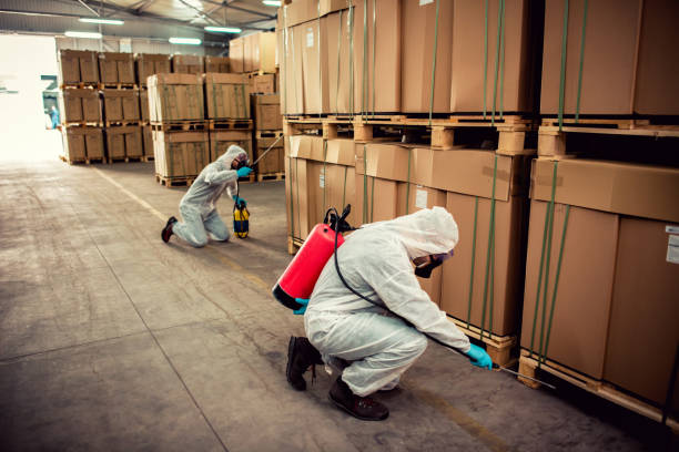Trusted San Diego, CA Pest Control Experts