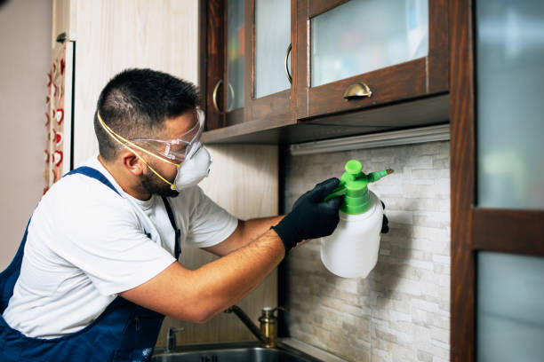 Best Rat Extermination Near Me  in San Diego, CA