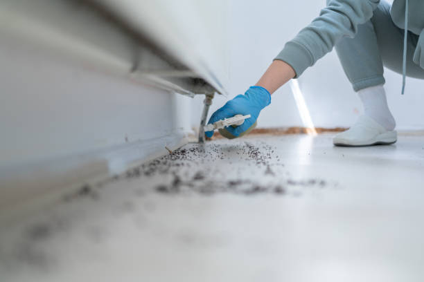 Best Bed Bug Extermination  in San Diego, CA
